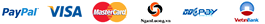 paymenticons